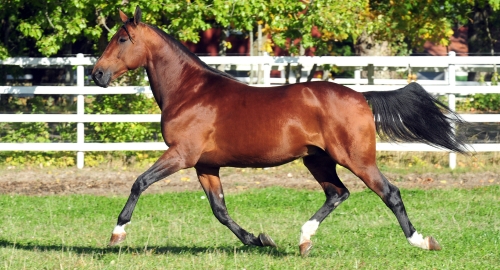 Going Kronos till Norrbotten