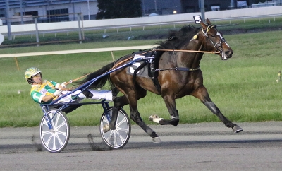 Melanders stjärna till avel