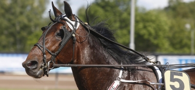 Orsi Mangelli-etta till Sverige