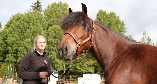 Tidernas bästa sto hedras