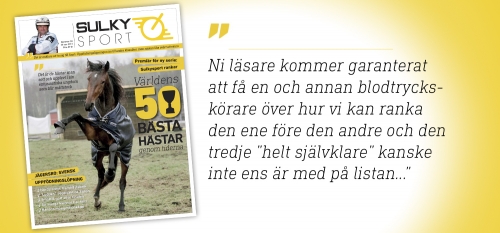 Sulkysport nummer 38