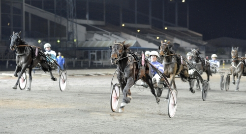 Så kördes Uppfödningslöpningen