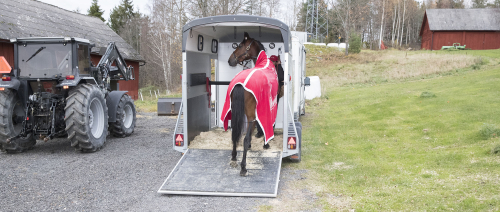 Kommer lastad med V75-seger?