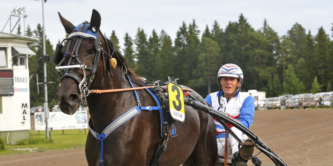 Ove A Lindqvist sitter åter bakom Spik Vilja på juldagen. Foto Hanold/ALN