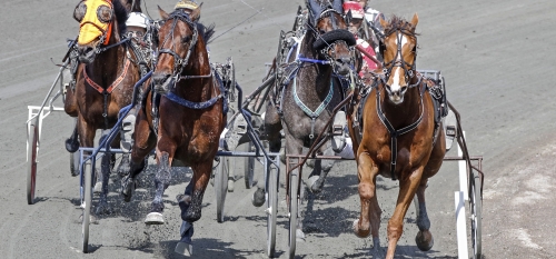 Fransson: ”Att straffa hästägarna är bara början på en ond spiral”