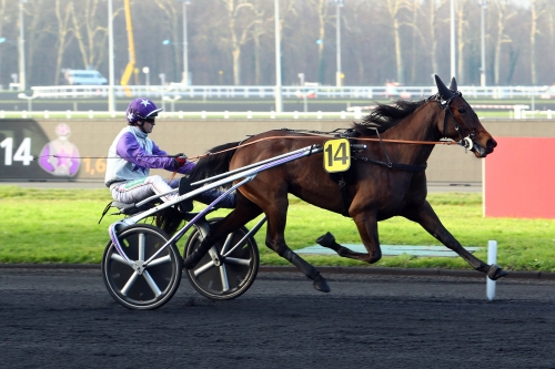 Vincennes: Stora pengar – få hästar
