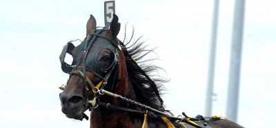 Superhästar på jakt efter 100