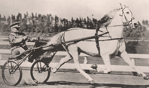 Koch: ”Greyhound var mera komplett än Varenne”