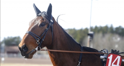 ”Enda hotet är…”