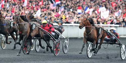 Anmälda till Prix d’Amérique