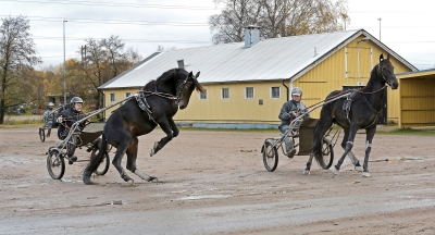 Give me a call, Jerry!