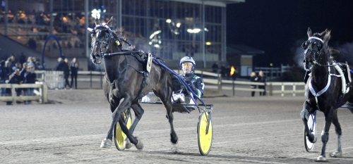 Topptid av Västerboonthenews