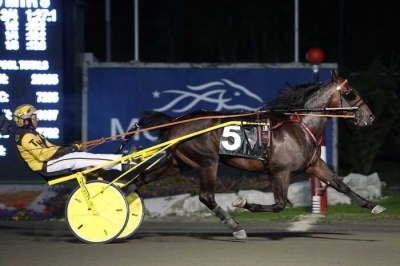 Kanada-titel till Borås-uppfödare