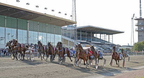 PLUS ger plus på Jägersro?