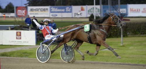 ”En smart häst”