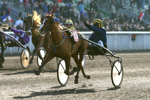 Folelli starkast bland de unga