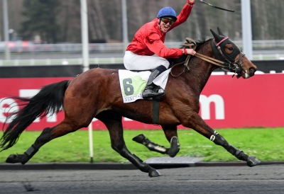 Uppvisning under sadel