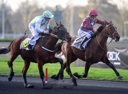 Stjärnmöte i stort montélopp