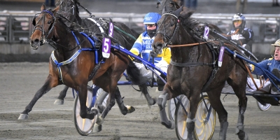 Marginalerna på rätt sida