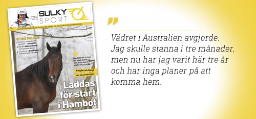 Nummer 11 – Treåringsserien fortsätter