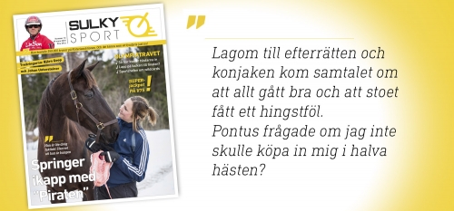 Sulkysport nummer 13