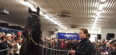 Walk the Walk till Västerbo