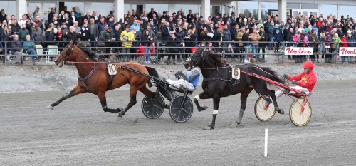 Cruzado till Sundsvall