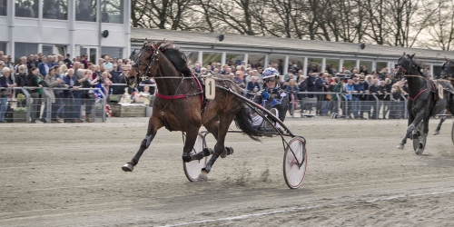 Två derbyvinnare i Skive