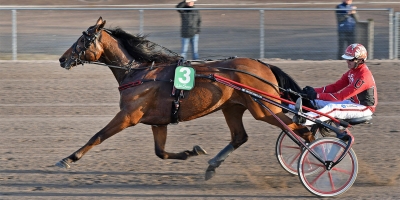 Cyber Lane i årsdebut