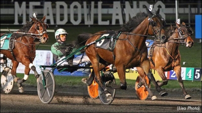 Svanstedt toppade med nyförvärv