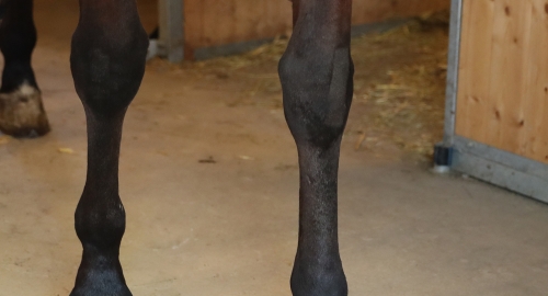 ”Vi måste agera på något sätt”