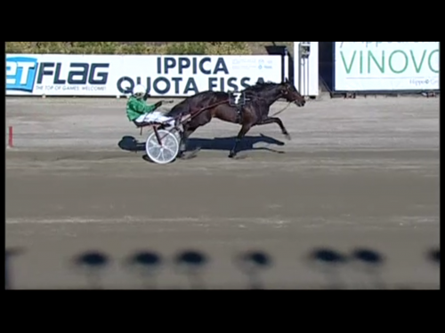 En häst för Elitloppet