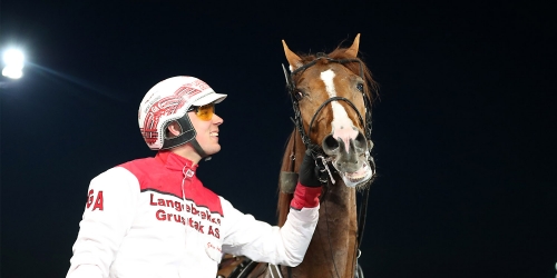 Elitloppshästar på Bjerke