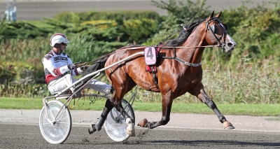 V86: ”Glatt överraskad att hästen var så bra direkt”