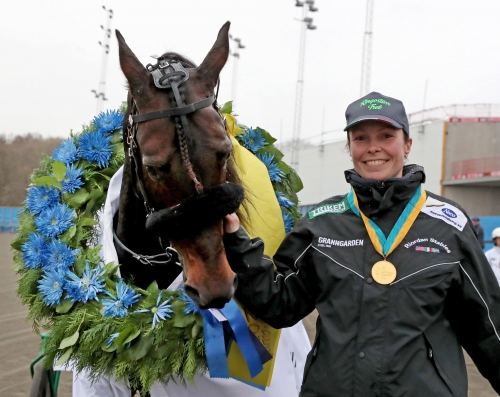 Ringostarr Treb fick rosa biljett