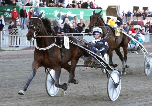 Just Wait And See på spänstiga ben