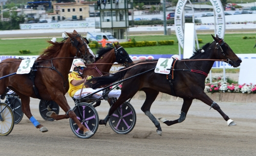 Gocci på nytt när Dante Boko föll