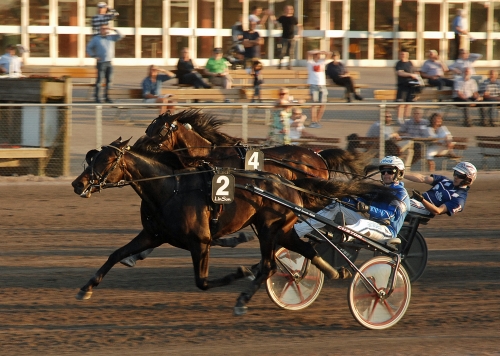 Segervana hästar bäst i BC