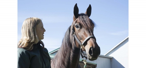 Svenskt i Indiana Sire Stakes