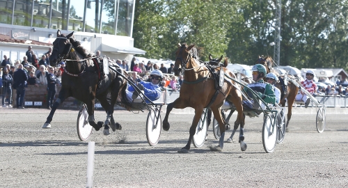 28-30 maj: Livet efter Elitloppet