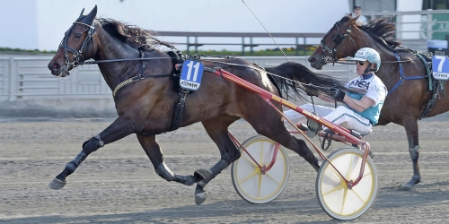 Sista rundan för talangerna