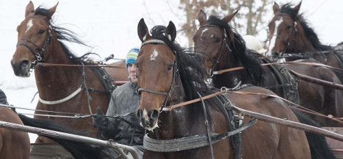 Topphästar redan på fredagen