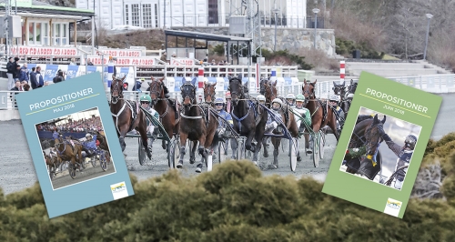 Fransson: Det borde ses som ett hedersuppdrag