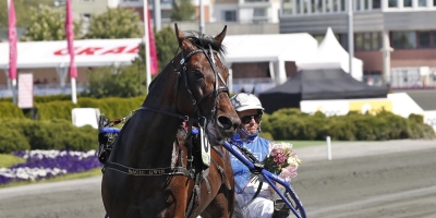 Profilhästen struken: ”Som vi väntat…”