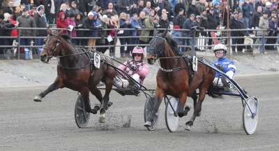 9-12 maj: V75 med kunglig glans