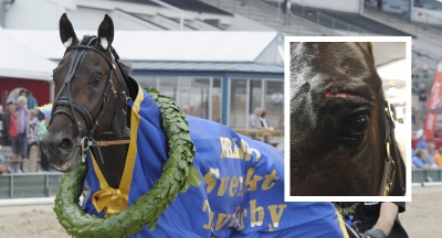 Fick sys efter skada i boxen