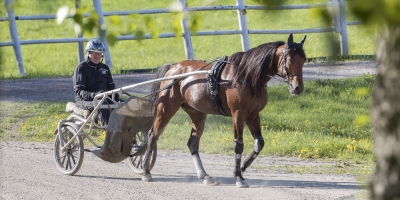 Readly Express publikmagnet på Bergsåker