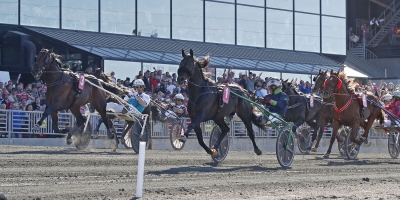 Startlistor: Alla lopp under Elitloppshelgen