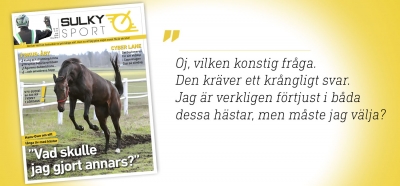 Sulkysport nummer 19