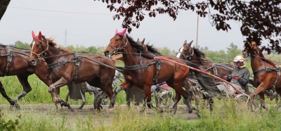Italiensk segermaskin mot Harpers?
